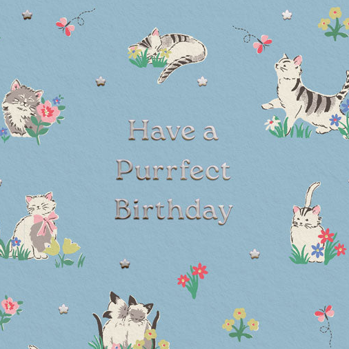 Purrfect Kittens Blue Birthday Card - Freshie & Zero Studio Shop