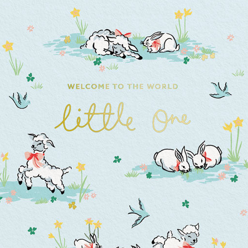 Lamb and Bunny Welcome Baby Card - Freshie & Zero Studio Shop
