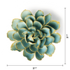 France Collection Ceramic Wall Flower: 3.5" Robin's Egg Blue French Marigold - Freshie & Zero Studio Shop