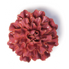 Ceramic Wall Flower: 4.25" Blush Pink Tundra Carnation - Freshie & Zero Studio Shop