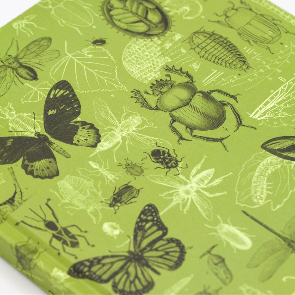 Illustrated Insects Hardcover Notebook - Freshie & Zero Studio Shop