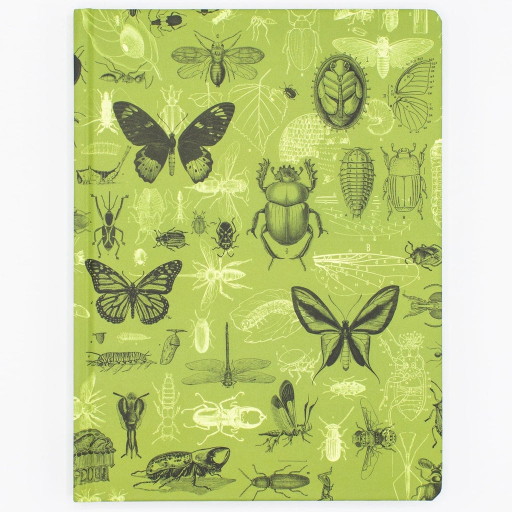Illustrated Insects Hardcover Notebook - Freshie & Zero Studio Shop