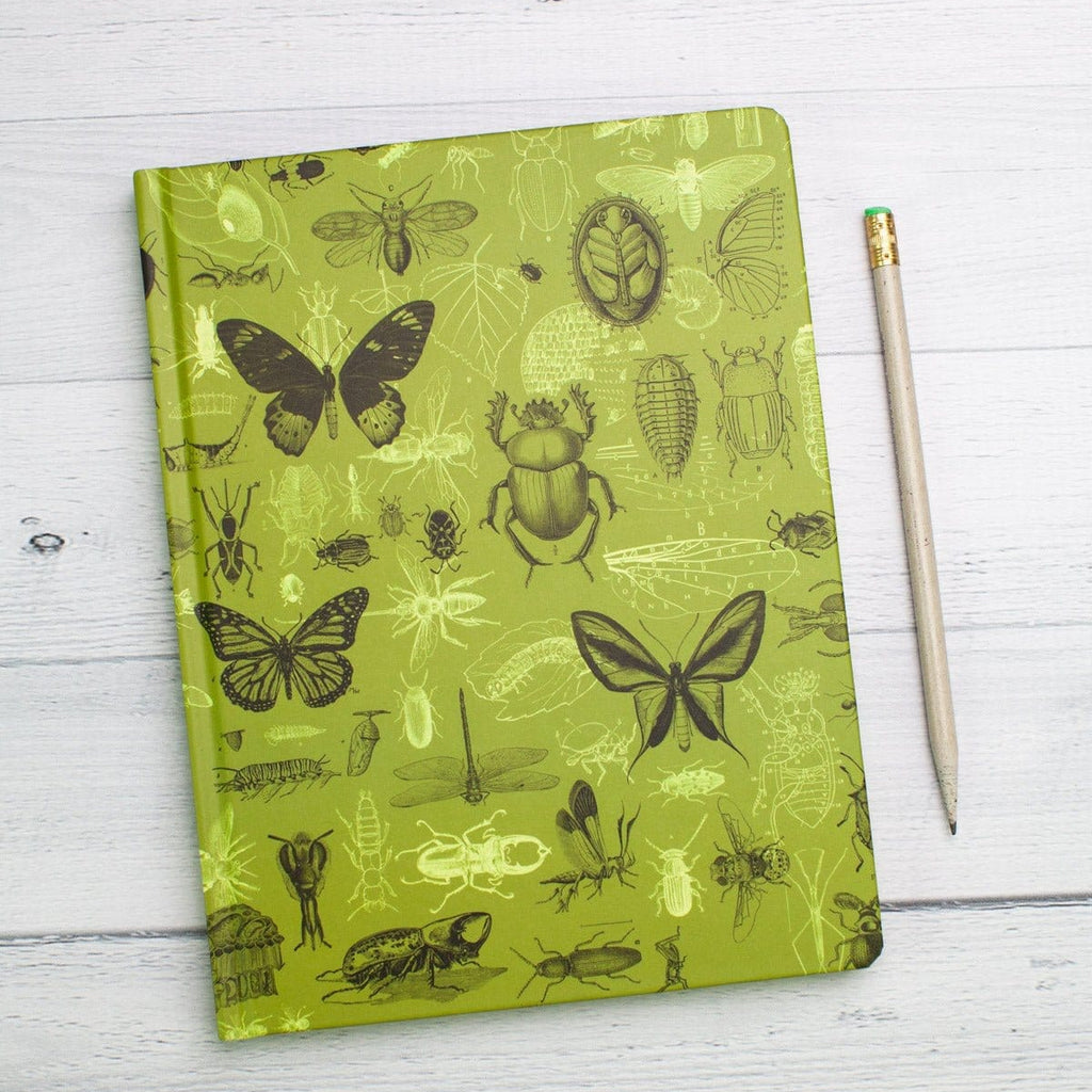 Illustrated Insects Hardcover Notebook - Freshie & Zero Studio Shop