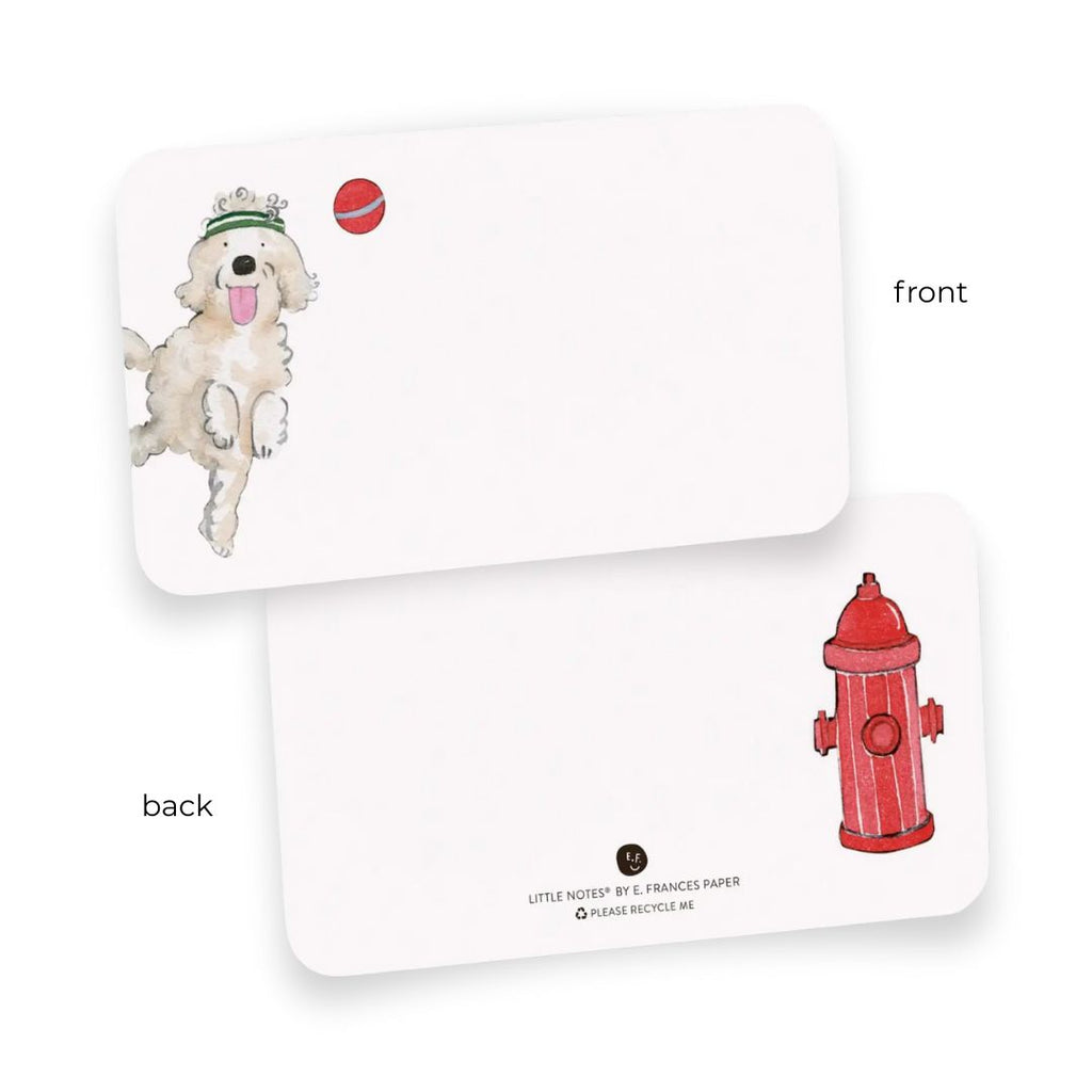 Little Notes® Box of 55 Cards by E. Frances Paper - Freshie & Zero Studio Shop