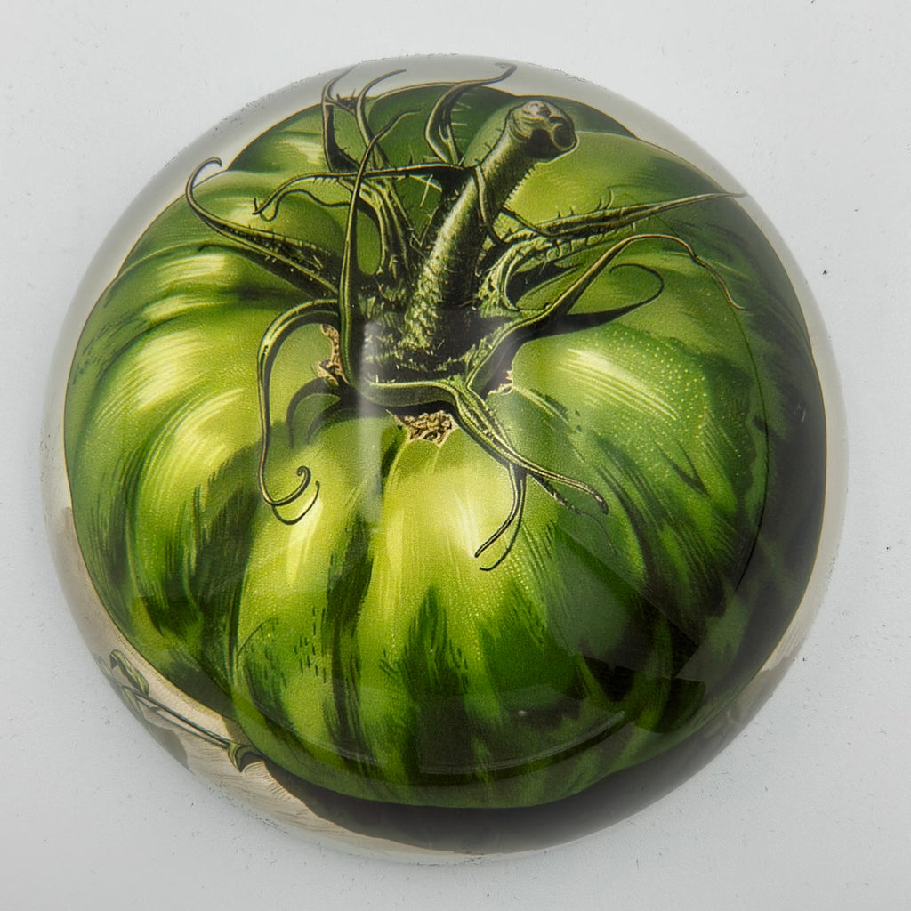Green Tomato Glass Dome Paperweight - Freshie & Zero Studio Shop
