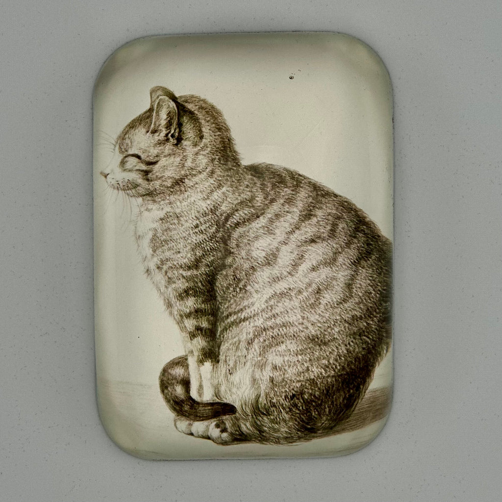 Sleepy Cat Rectangular Glass Paperweight - Freshie & Zero Studio Shop