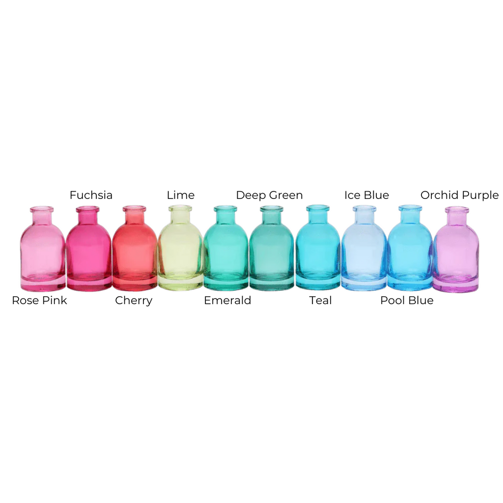 Mini Glass Tall Bottle Bud Vases - Freshie & Zero Studio Shop