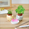 Tabby Cat Herb Plant Growing Kit - Freshie & Zero Studio Shop