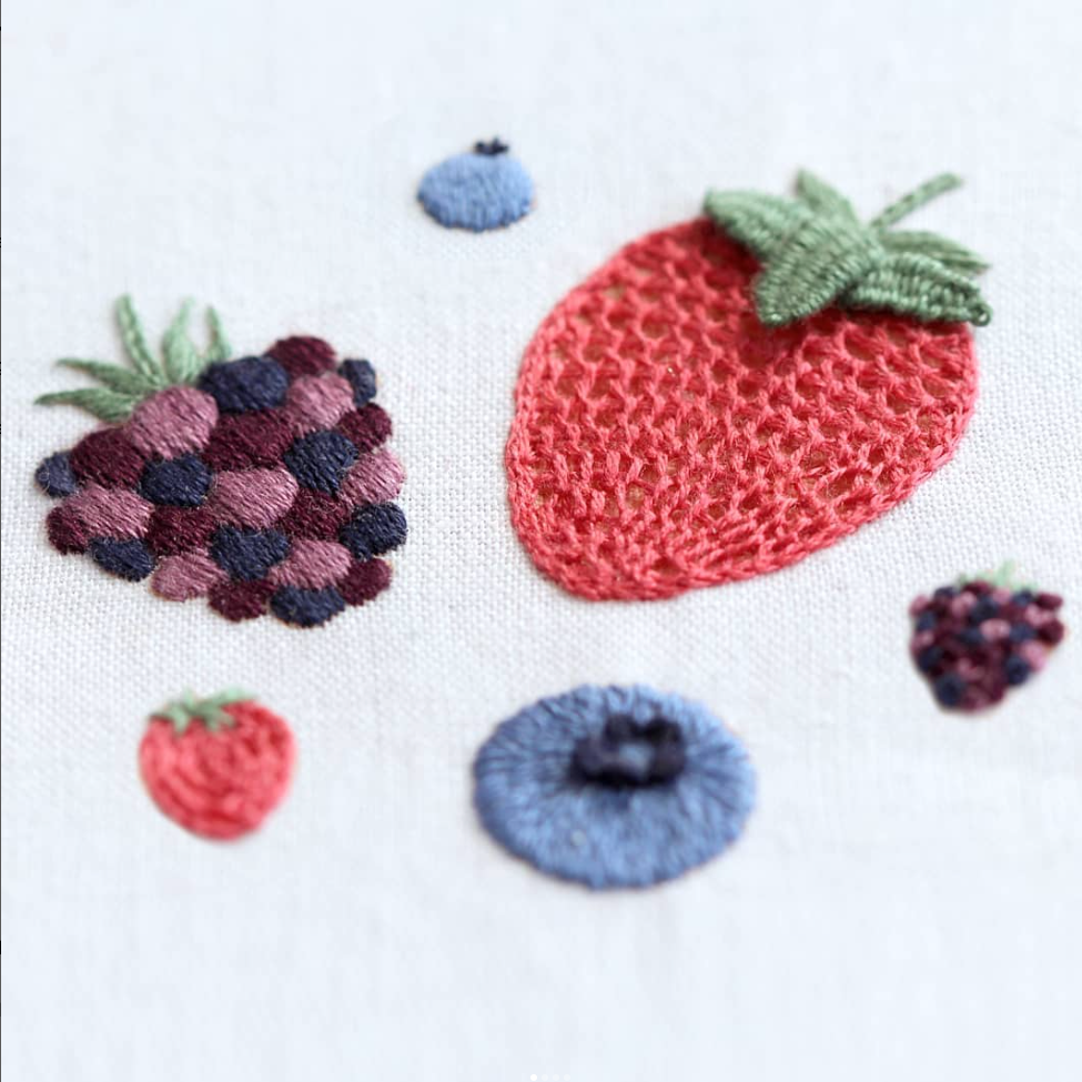 Embroidery Sampler Kit: Berries | Beginner - Freshie & Zero Studio Shop