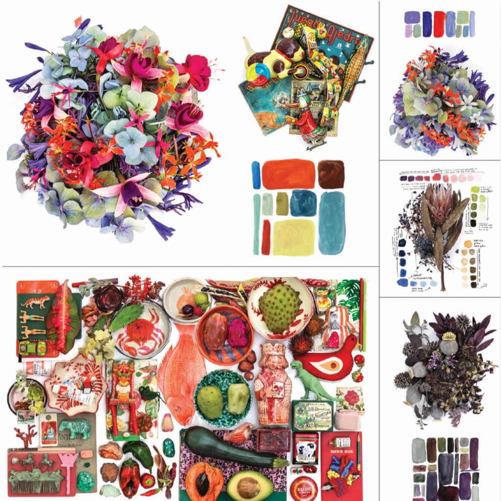 Color Curious by Ana Bianchi - Freshie & Zero Studio Shop