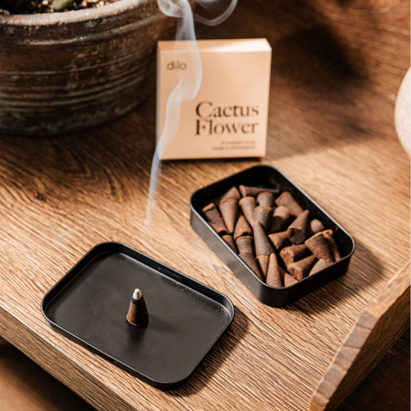 Cactus Flower Incense Cones by dilo - Freshie & Zero Studio Shop
