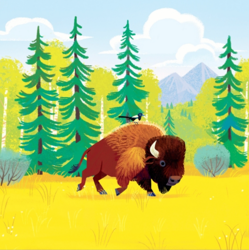 Animals of the National Parks: An Alphabet Book - Freshie & Zero Studio Shop