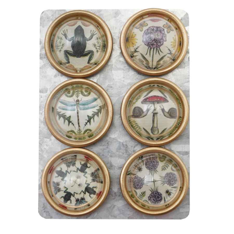 Resin Animal and Botanical Convex Magnets, Set of 6 - Freshie & Zero Studio Shop