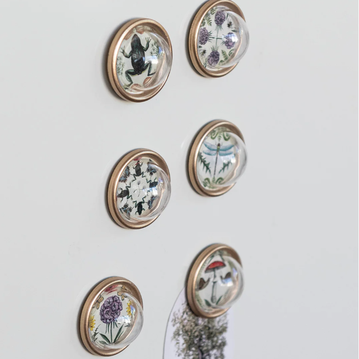 Resin Animal and Botanical Convex Magnets, Set of 6 - Freshie & Zero Studio Shop