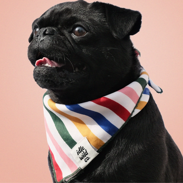Primary Stripes Pet Bandana - Freshie & Zero Studio Shop