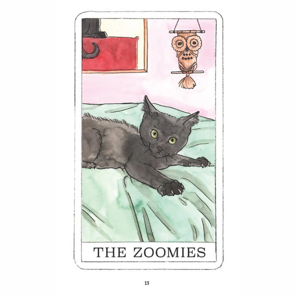 Kitten Oracle Deck - Freshie & Zero Studio Shop