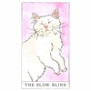 Kitten Oracle Deck - Freshie & Zero Studio Shop