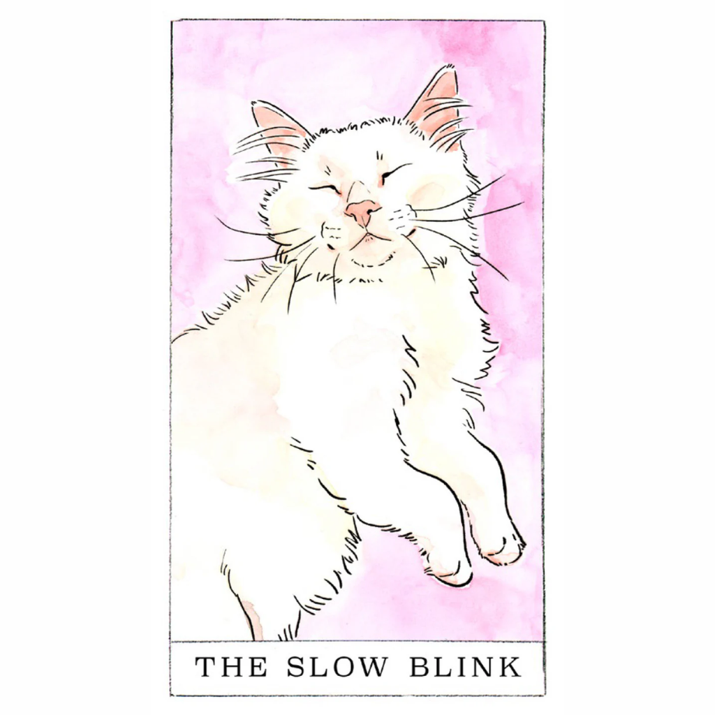 Kitten Oracle Deck - Freshie & Zero Studio Shop