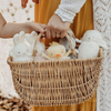Roly Poly Peep - Yellow Chick Plushie - Freshie & Zero Studio Shop