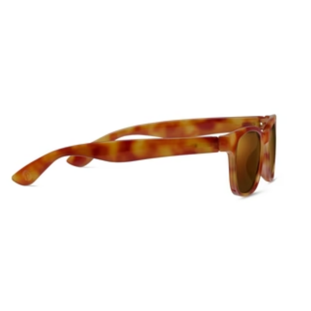 Peepers Bifocal Sunglasses: Amber Tortoise - Freshie & Zero Studio Shop