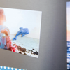 Little Mighty Magnets: Sharks - Freshie & Zero Studio Shop