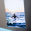 Little Mighty Magnets: Sharks - Freshie & Zero Studio Shop