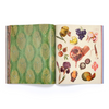 Make a Vision Board: A Manifesting Collage Book - Freshie & Zero Studio Shop