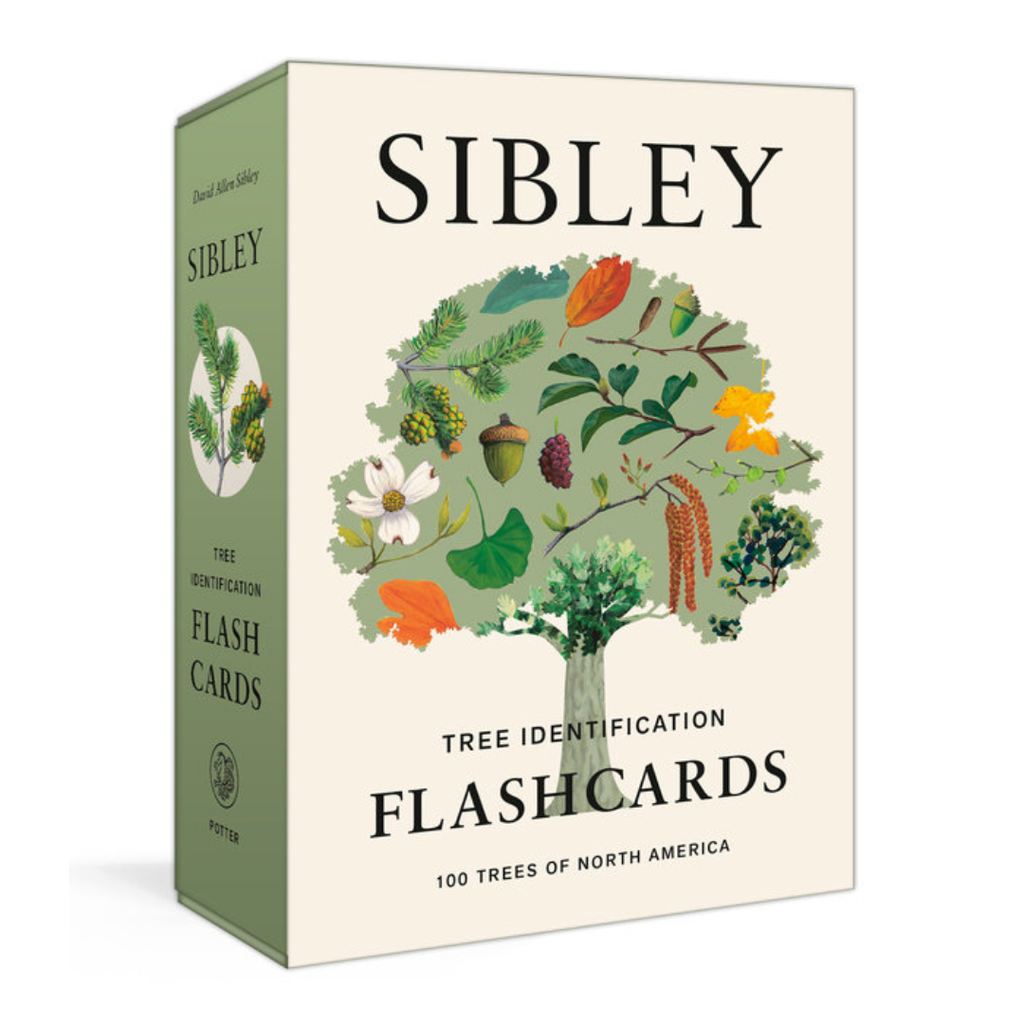 Sibley Tree Identification Flashcards - Freshie & Zero Studio Shop