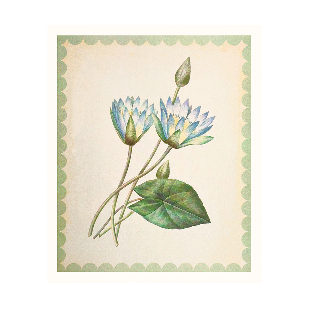 Nymphaea-Caerulea Risograph Art Print - 10x12 - Freshie & Zero Studio Shop