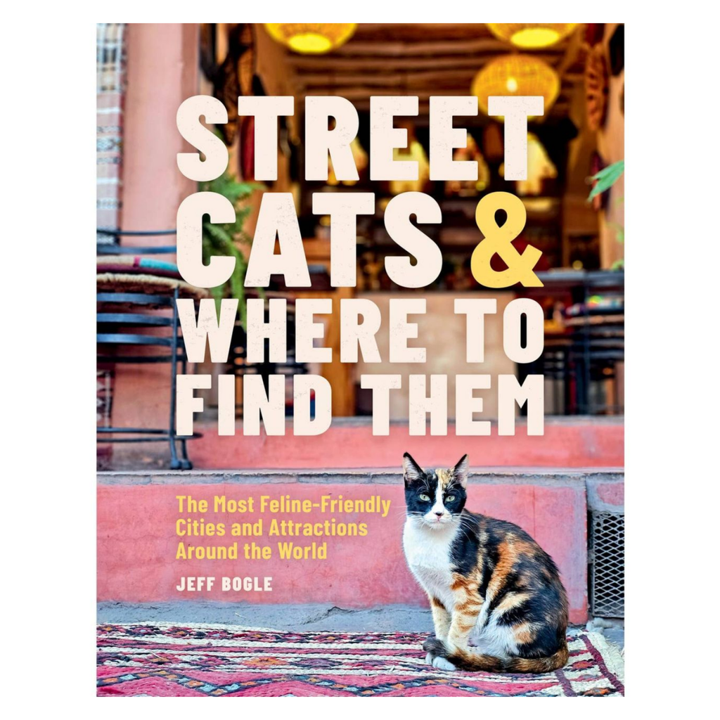 Street Cats & Where to Find Them - Freshie & Zero Studio Shop