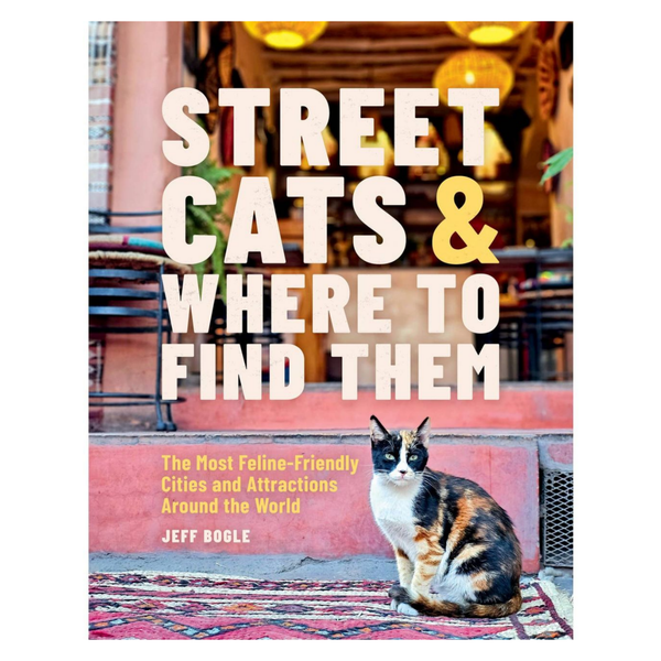 Street Cats & Where to Find Them - Freshie & Zero Studio Shop