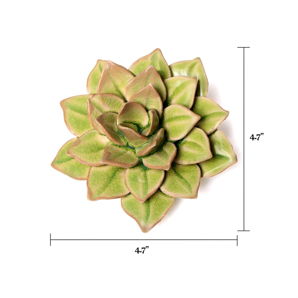English Garden Ceramic Flower: 4.7" Peridot Green Succulent - Freshie & Zero Studio Shop
