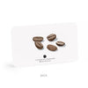 Little Notes Notecards - Freshie & Zero Studio Shop