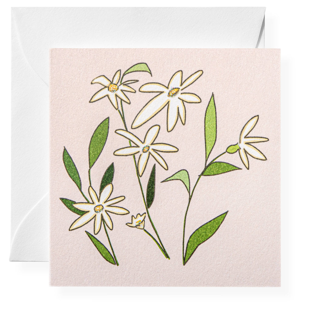 Daisies Gift Enclosure Card - Freshie & Zero Studio Shop