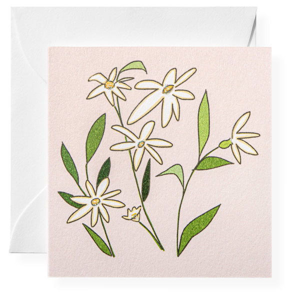 Daisies Gift Enclosure Card - Freshie & Zero Studio Shop