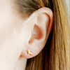 Dachshund Screwback Gold Stud Earrings - Freshie & Zero Studio Shop