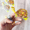 Box Turtle sticker - Freshie & Zero Studio Shop