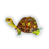 Box Turtle sticker by Katie Daisy - Freshie & Zero Studio Shop