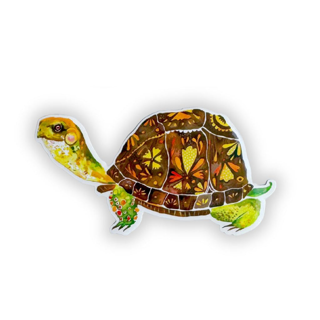 Box Turtle sticker by Katie Daisy - Freshie & Zero Studio Shop