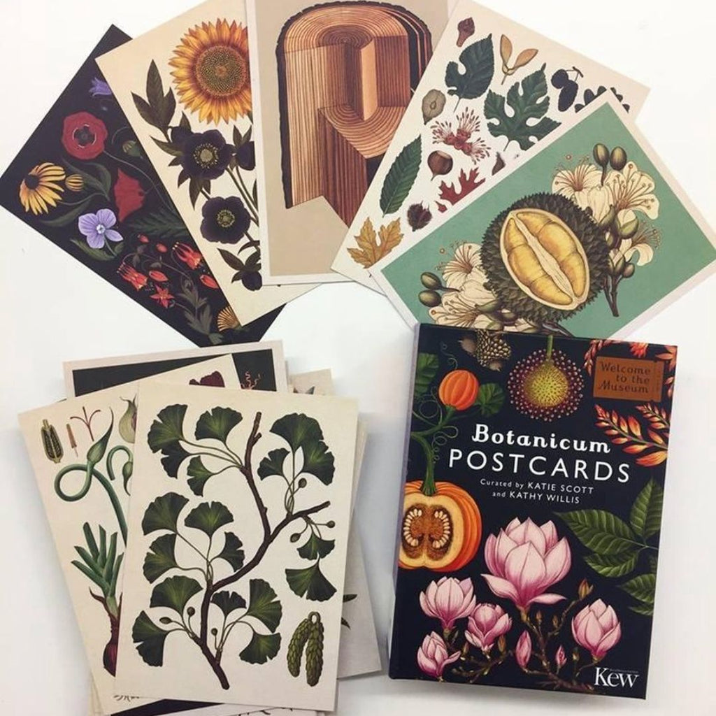 Botanicum Postcard Set - Freshie & Zero Studio Shop