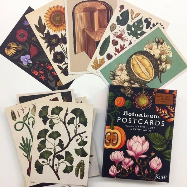 Botanicum Postcard Set - Freshie & Zero Studio Shop