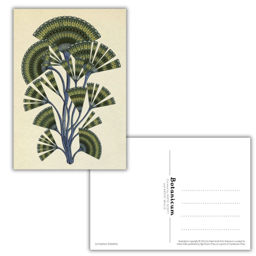Botanicum Postcard Set - Freshie & Zero Studio Shop