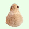 Chattie the Capybara Soft Plush Toy - Freshie & Zero Studio Shop