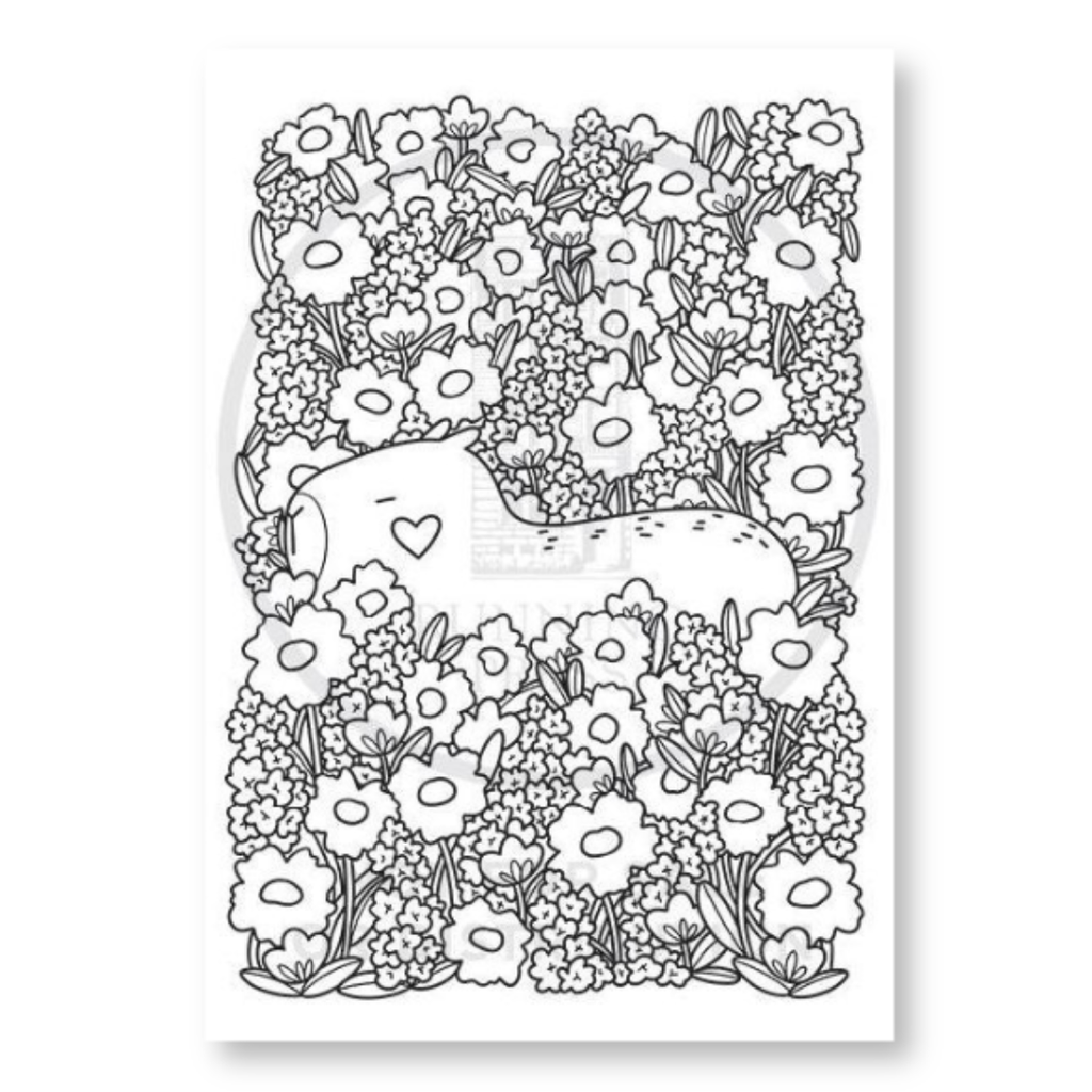 Super-Cute Capybaras Coloring Book - Freshie & Zero Studio Shop