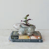 Stoneware Rabbit Planter - Freshie & Zero Studio Shop