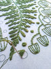 Fern and Friends Embroidery Kit by Cozyblue - Freshie & Zero Studio Shop