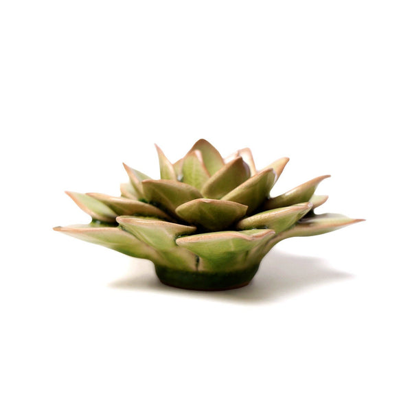 English Garden Ceramic Flower: 4.7" Peridot Green Succulent - Freshie & Zero Studio Shop