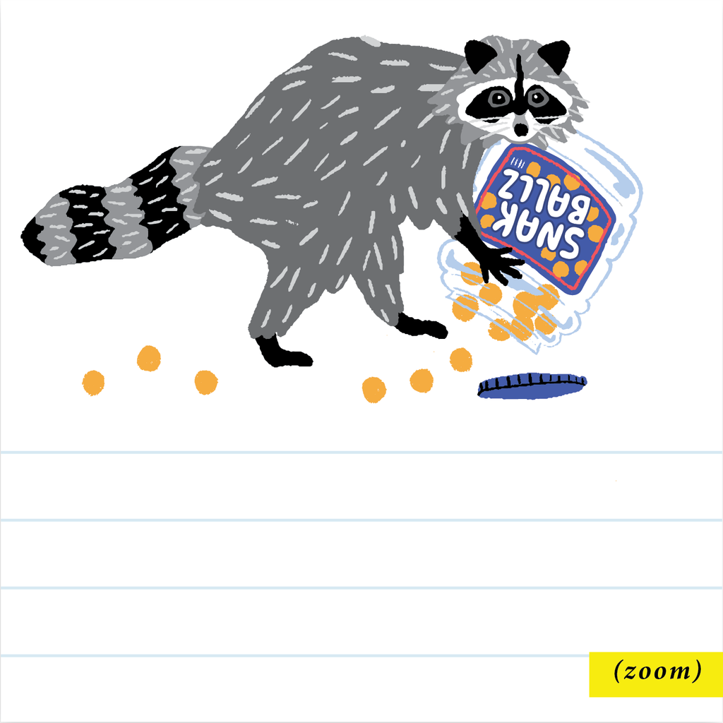 Snak Ballz Raccoon Notepad - Freshie & Zero Studio Shop