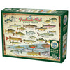Freshwater Fish of North America 1000pc puzzle - Freshie & Zero Studio Shop