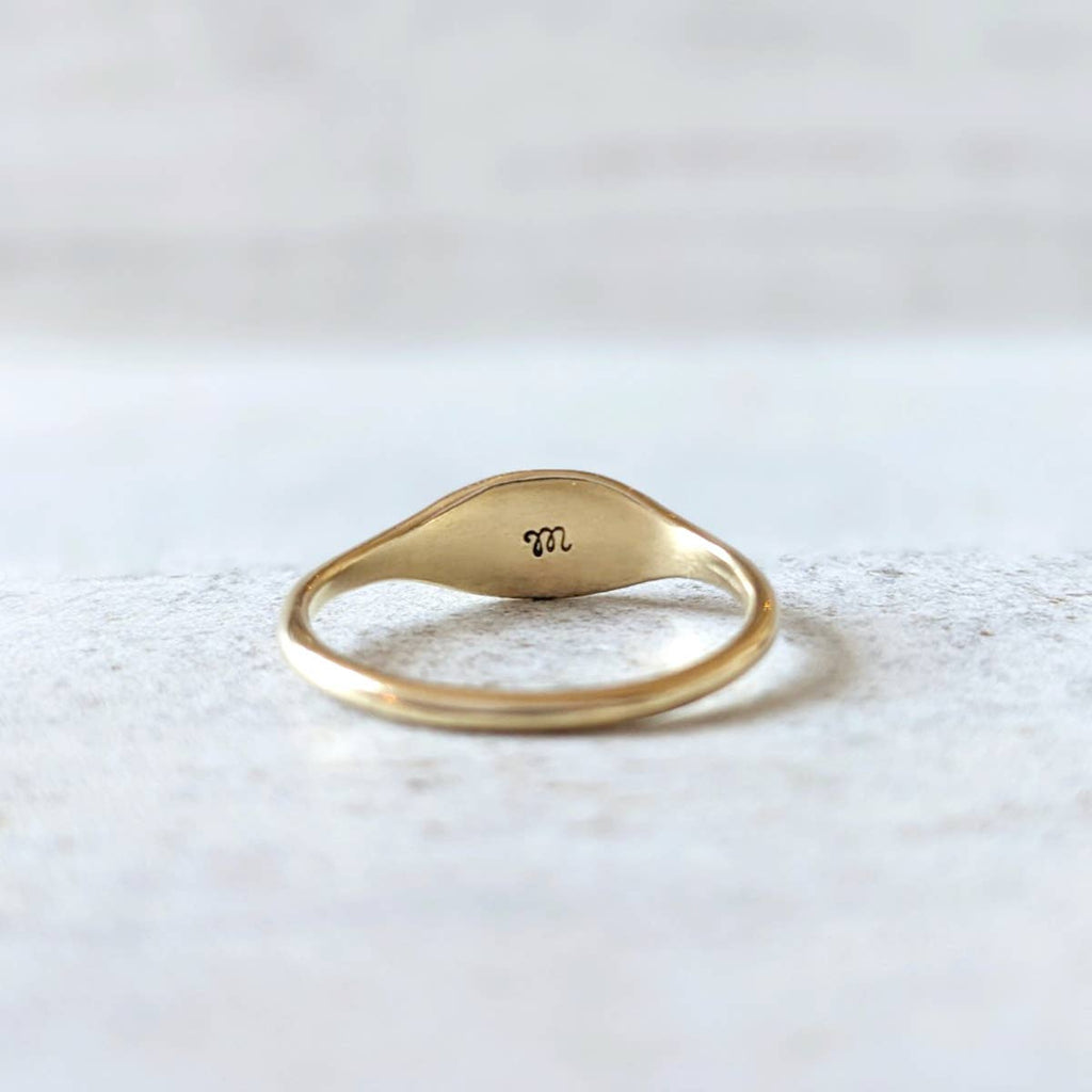 Snake Signet Ring: Bronze / Size 8 - 57.0mm - Freshie & Zero Studio Shop
